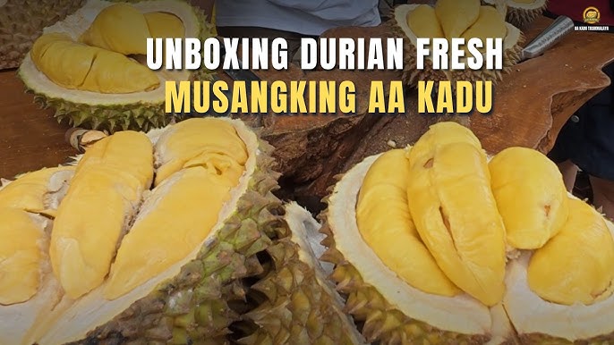 Durian Musang King Beku, Lahan Bisnis Menggiurkan Masa Kini