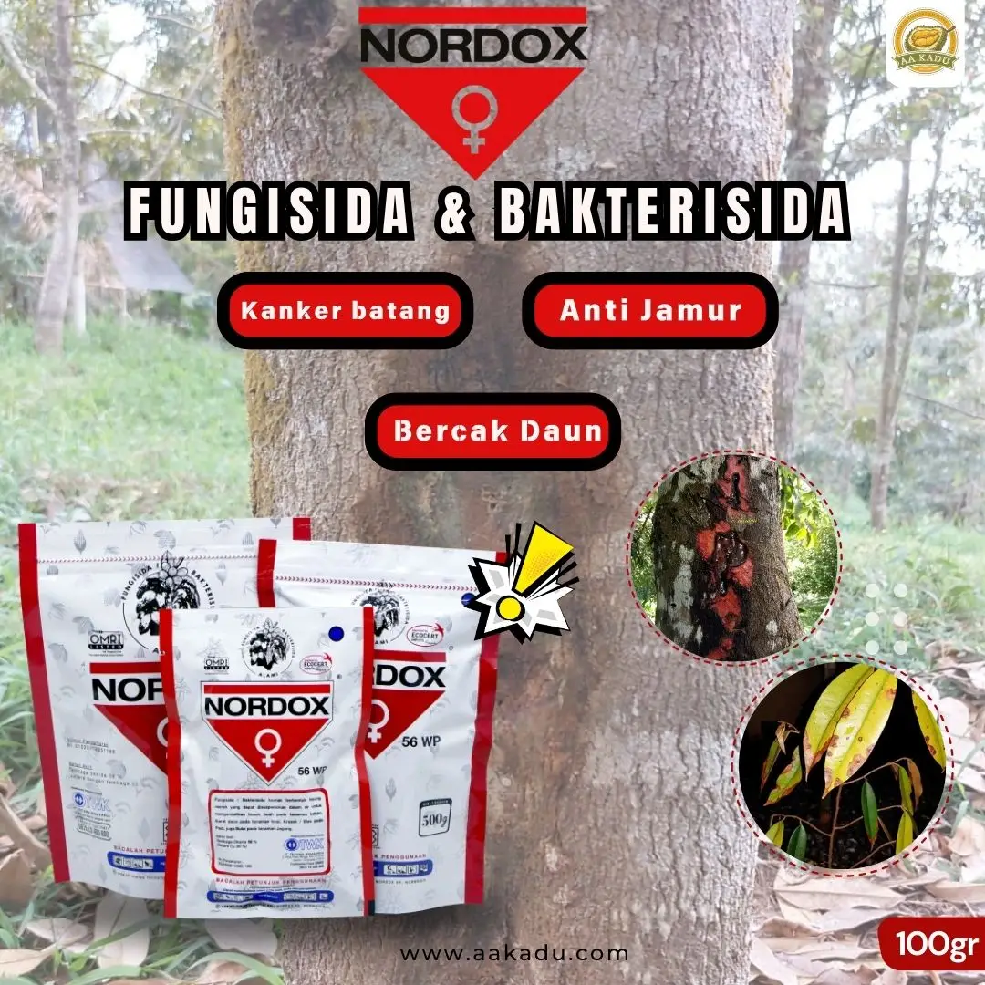 Nordox 56 WP 100 gr Bakterisida Fungisida Organik Pestisida Tembaga Oksida Pembasmi Hama Jamur - Anti Jamur - Kanker Batang