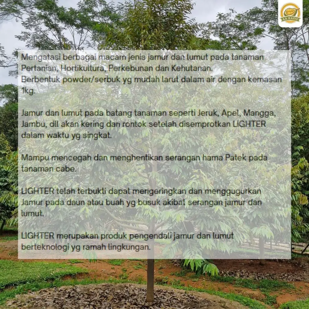 LIGHTER Fungisida Kontak pengendali pembersih Lumut dan Jamur Batang Durian