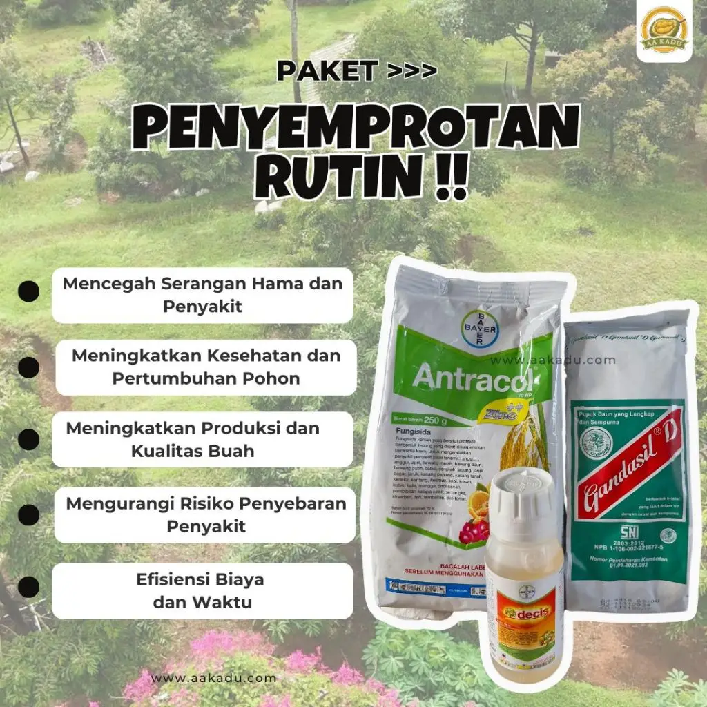 Paket Penyemprotan Rutin Pohon Durian - Mencegah Serangan Hama dan Penyakit