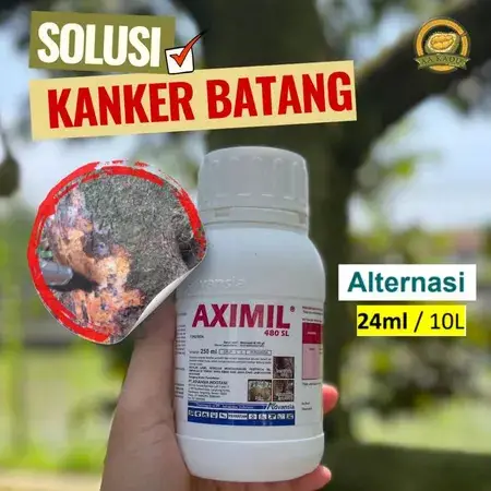 AXIMIL 480SL - 250ML