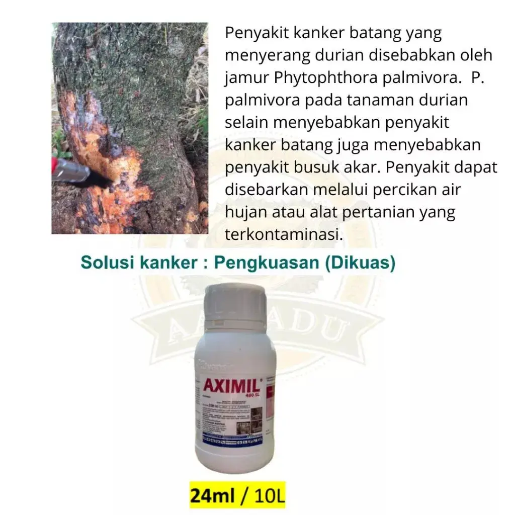 AXIMIL 480SL - 250ML
