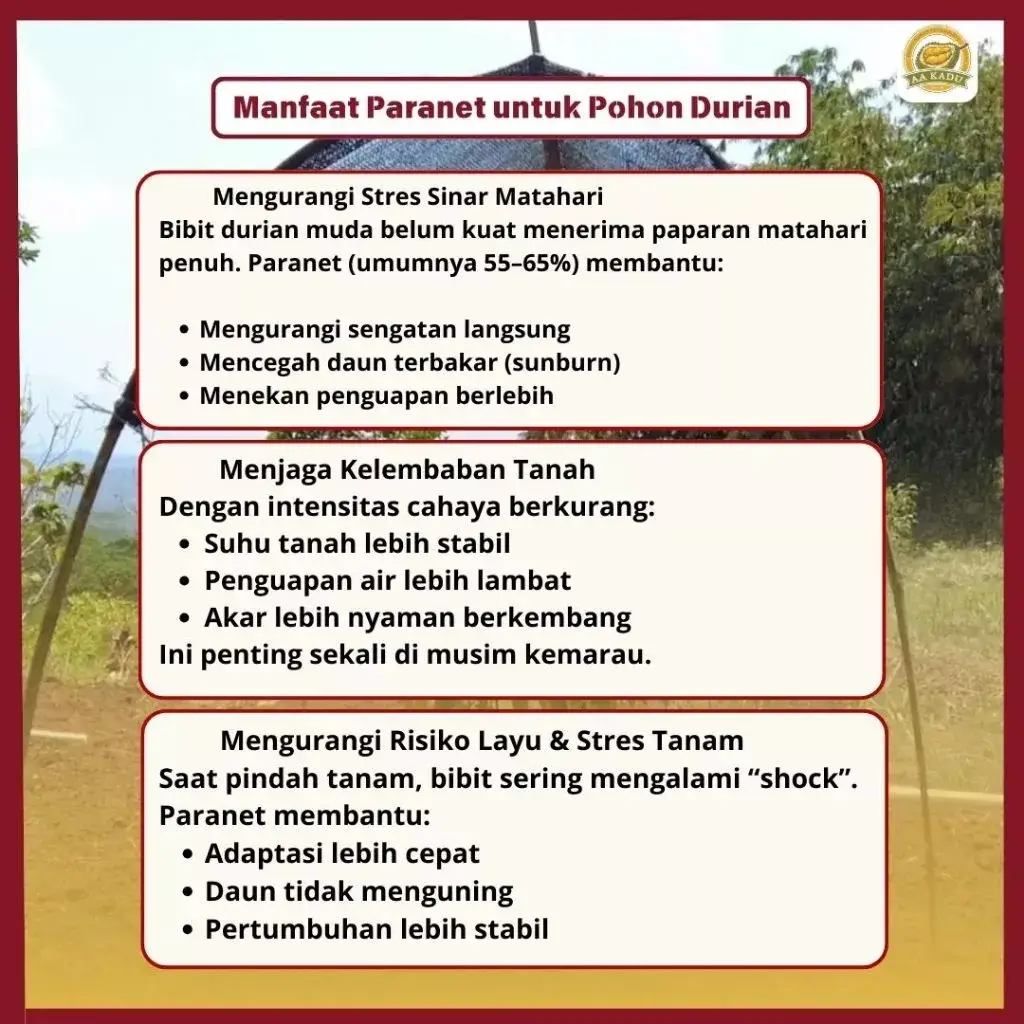 Paranet 60% Hitam – Jaring Peneduh Tanaman Anti UV | Jual Ecer & Roll