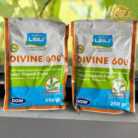 Divine 600 - Pupuk Organik Padat