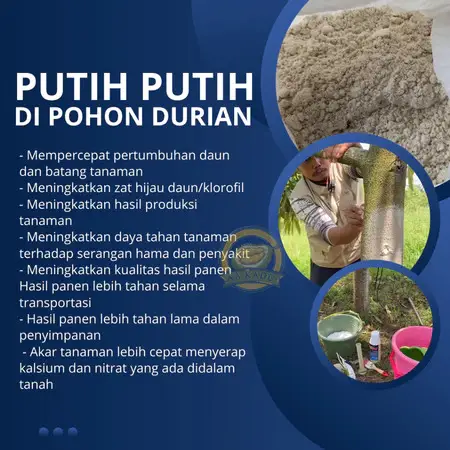 Caldu - Calsium Aa Kadu Repack