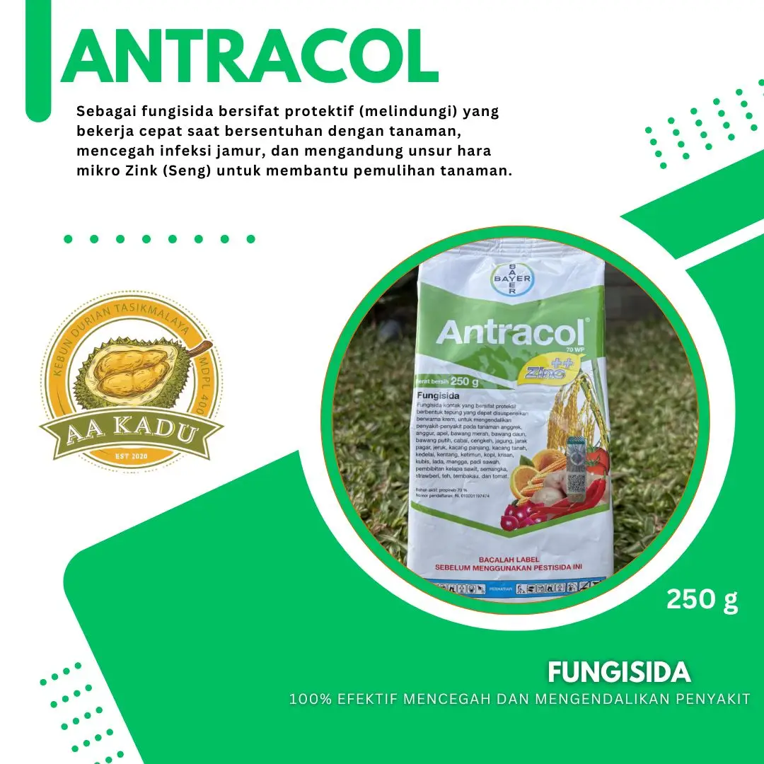 Fungisida Antracol 70 WP 250gr