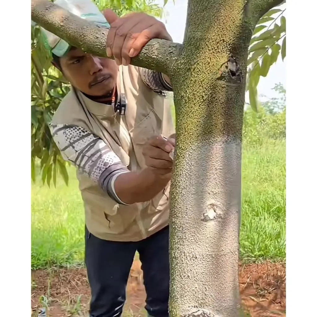 12kg - Caldu - Calsium AA Kadu Sak