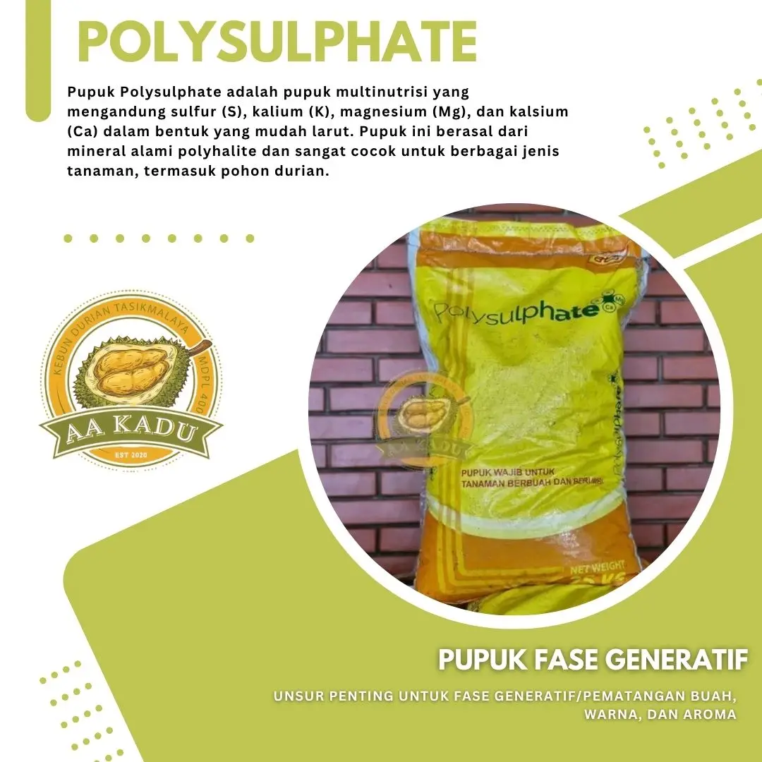 Pupuk Polysulphate Repack (Kg)