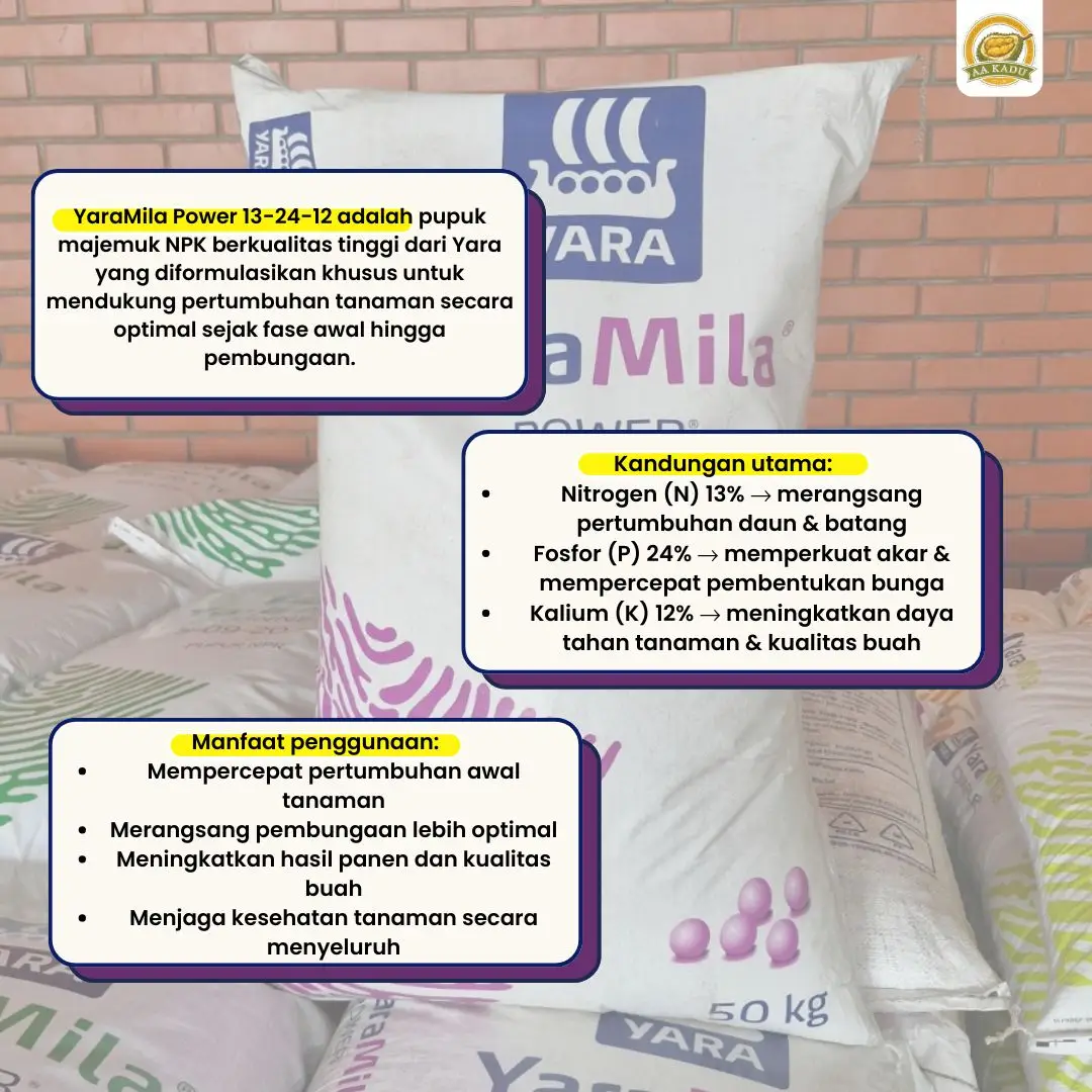Pupuk YaraMila Power 13-24-12 - 50KG | Original Yara