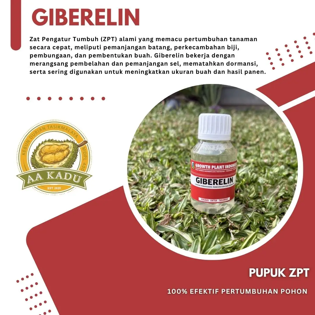 Pupuk Giberelin/ZPT GA3