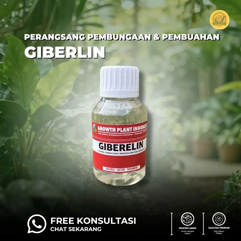 Pupuk Giberelin/ZPT GA3