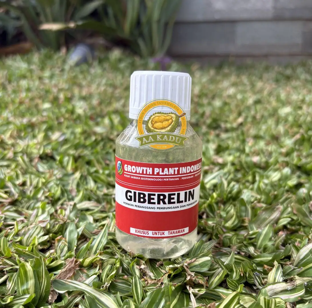 Pupuk Giberelin/ZPT GA3