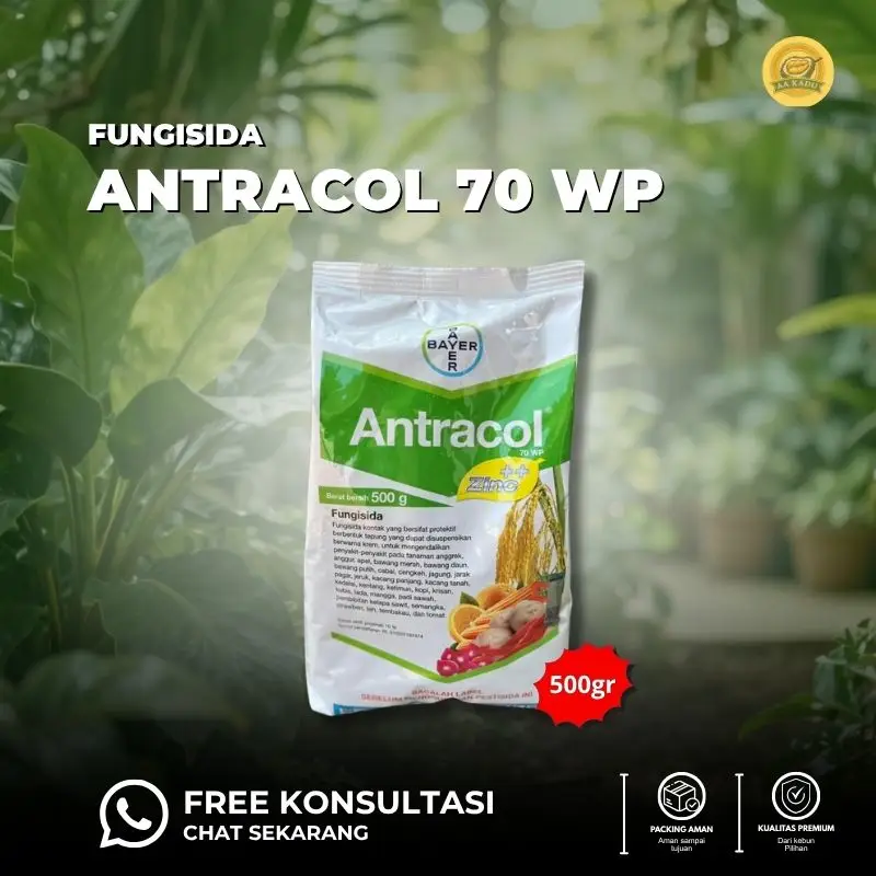 Fungisida Antracol 70 WP - 500 gr